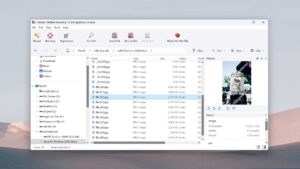 Hetman Partition Recovery scan results