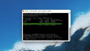 TestDisk for macOS found partitions